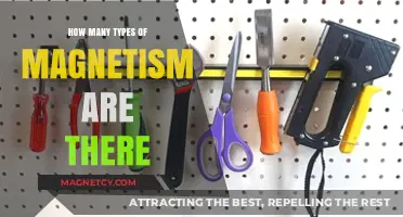 Exploring the Diverse World of Magnetic Phenomena: A Comprehensive Guide