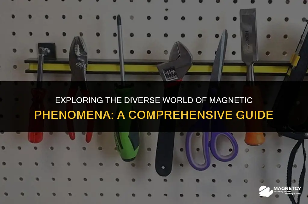 how many types of magnetism are there