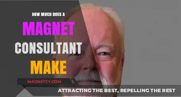 Unlocking the Lucrative World of Magnet Consulting: A Comprehensive Guide