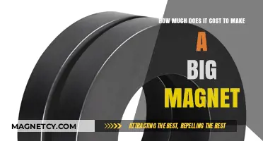 Exploring the Expense: Crafting Large Magnets and Their Costs