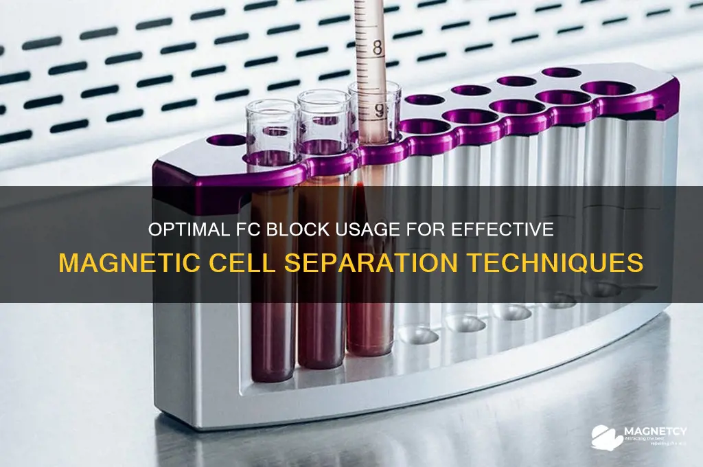 how much fc block to use magnetic cell separation