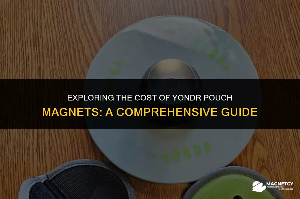 how much is a yondr pouch magnet