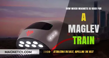 Magnetic Power in Maglev Trains: Unveiling the Role of Magnets