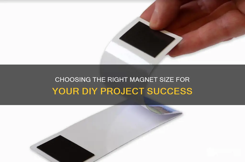 how much of the magnet to use for a project