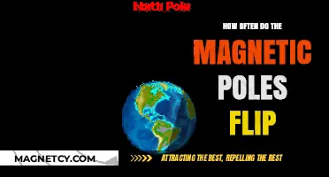 Unpredictable Reversals: Earth's Magnetic Poles Flip More Often Than Thought