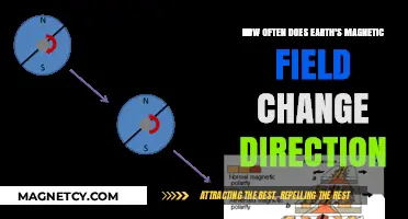 Reversals Revealed: Earth's Magnetic Field Changes Direction