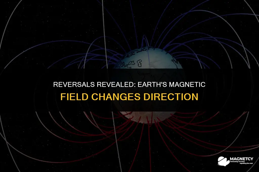 how often does earth