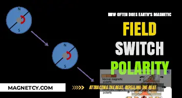 Reversals in Time: Understanding Earth's Magnetic Field Polarity Switches