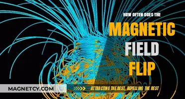 Exploring Earth's Magnetic Field Reversals: A Comprehensive Guide