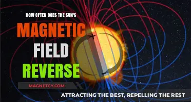 Decoding the Sun's Magnetic Flip: A Celestial Cycle Unveiled