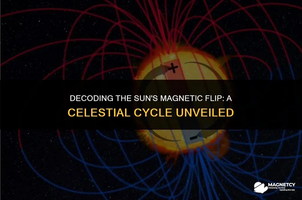 how often does the sun