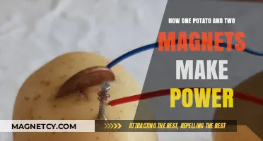 Spud-tacular Science: Harnessing Energy with Potatoes and Magnets
