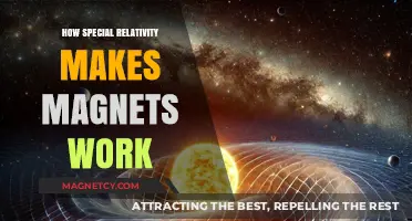 Unveiling the Secrets: How Special Relativity Powers Magnets