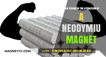 Unleashing Power: The Astonishing Strength of Neodymium Magnets Revealed