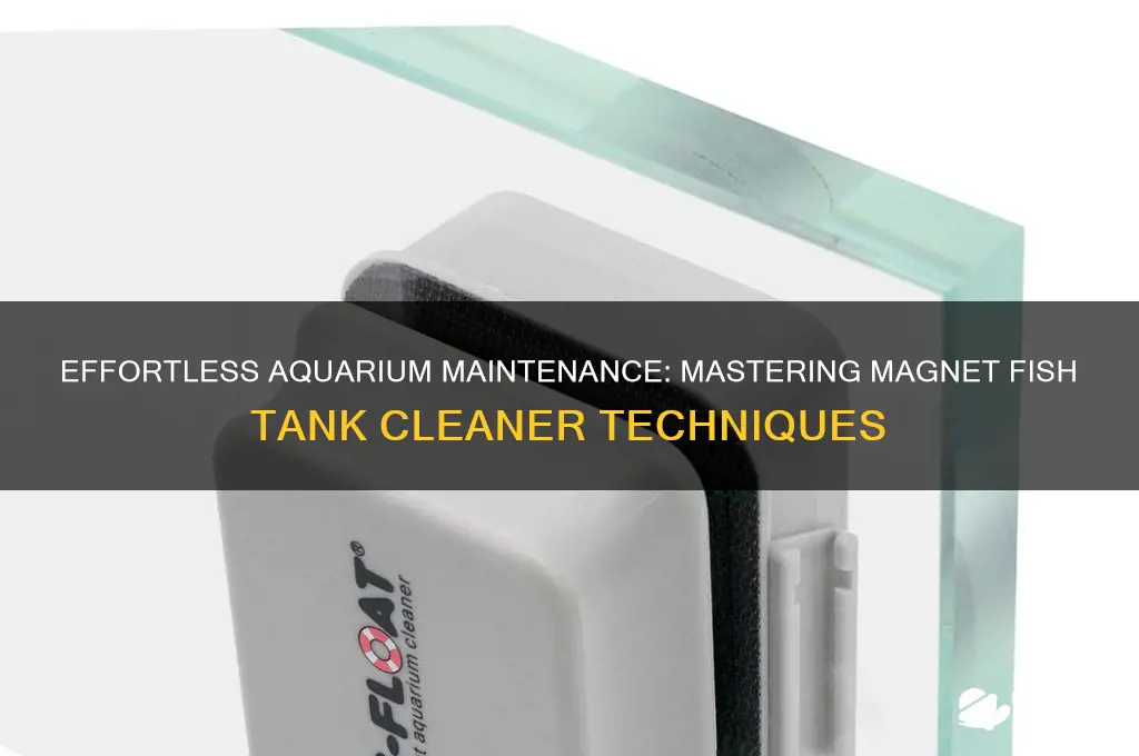 how t o use a magnet fish tank cleaner
