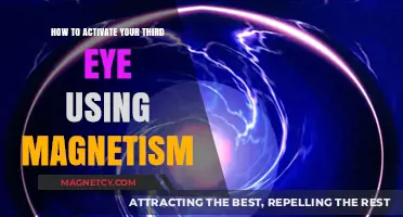Unlock Your Third Eye: Magnetism Techniques for Spiritual Awakening