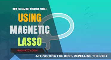 Mastering Magnetic Lasso: Tips for Precise Position Adjustments in Photoshop