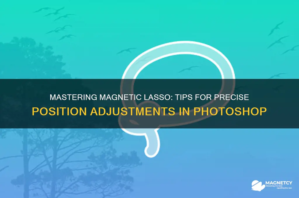how to adjust position while using magnetic lasso