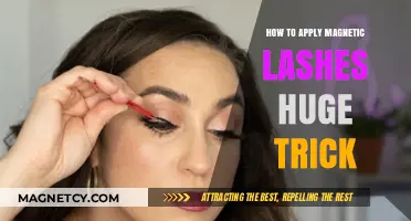 Mastering Magnetic Lashes: The Ultimate Guide to Easy Application