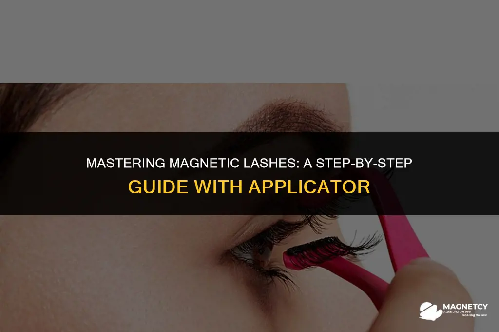 how to apply magnetic lashes with applicator