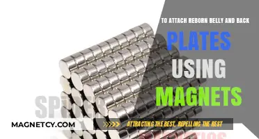 Magnetic Mastery: Attaching Reborn Belly and Back Plates Effortlessly