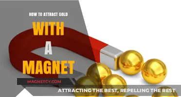 Unveiling the Myth: Can Magnets Really Attract Gold?