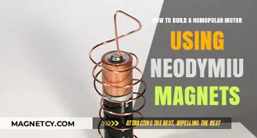 DIY Homopolar Motor: Build with Neodymium Magnets for Simple Science Fun