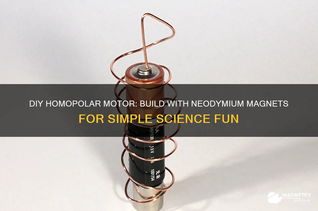 how to build a homopolar motor using neodymium magnets