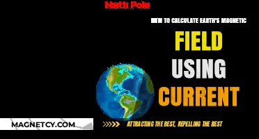 Calculating Earth's Magnetic Field: A Current-Based Approach Explained