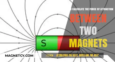 Understanding Magnetic Attraction: Calculating Force Between Two Magnets