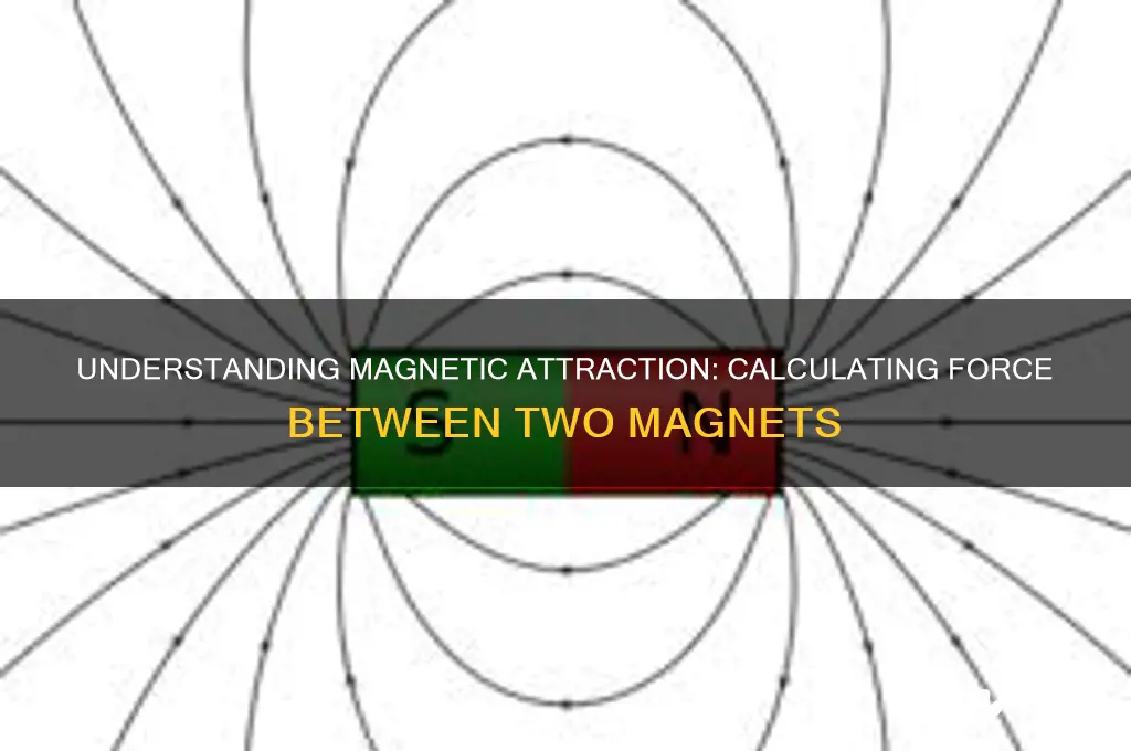 how to calculate the force of attraction between two magnets