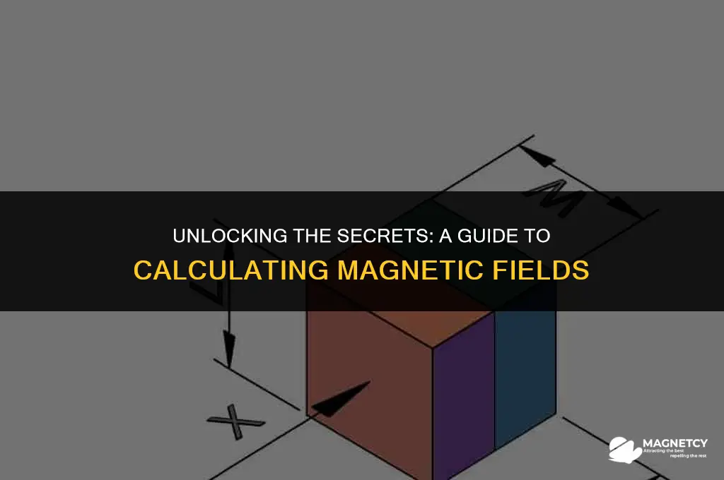 how to calculate the magnetic field