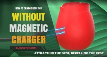 Reviving Your Rose Toy: Alternative Charging Methods Without a Magnetic Charger