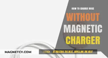 Reviving Your Rose: Alternative Charging Methods Without a Magnetic Charger