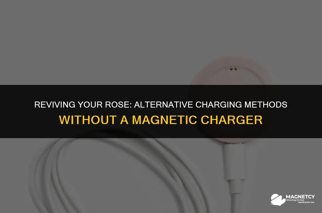 how to charge rose without magnetic charger