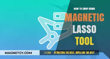 Mastering the Magnetic Lasso Tool for Precise Image Cropping Techniques