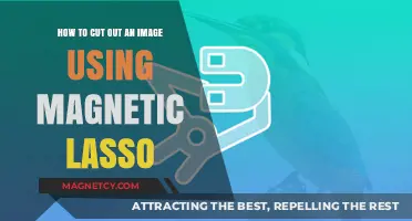 Master Magnetic Lasso: Effortlessly Cut Out Images in Photoshop