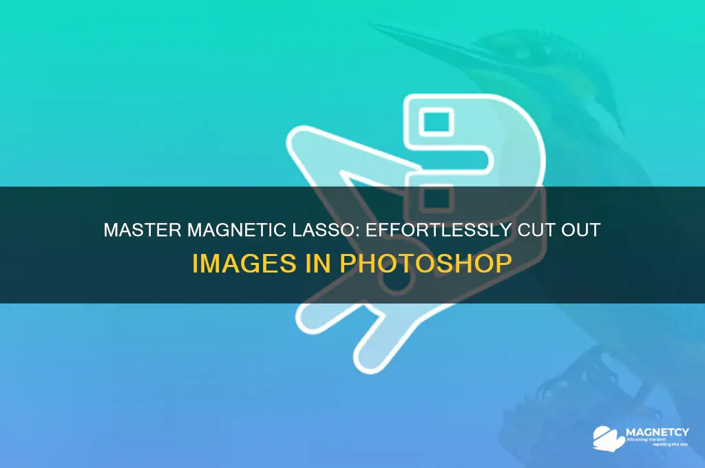 how to cut out an image using magnetic lasso