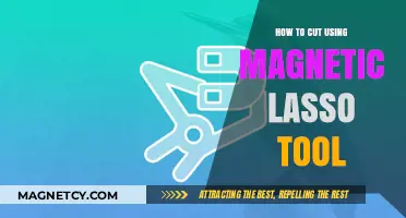 Mastering the Magnetic Lasso Tool: Precision Cutting Techniques in Photoshop