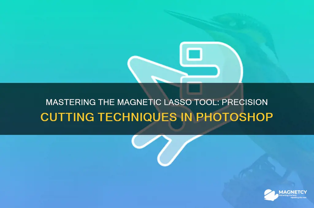 how to cut using magnetic lasso tool