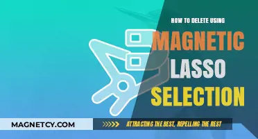 Mastering Magnetic Lasso: Effortlessly Delete Selections in Photoshop