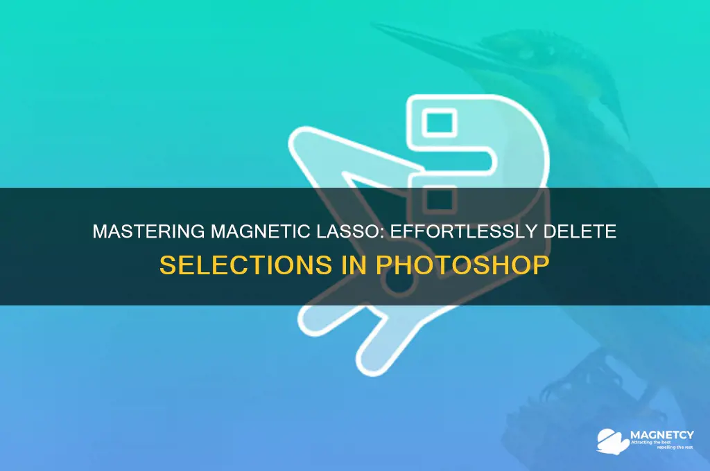 how to delete using magnetic lasso selection