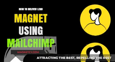 Delivering Lead Magnets Seamlessly with Mailchimp: A Step-by-Step Guide
