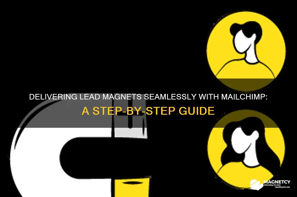 how to deliver lead magnet using mailchimp
