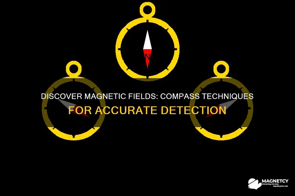 how to find a magnetic field using a compass