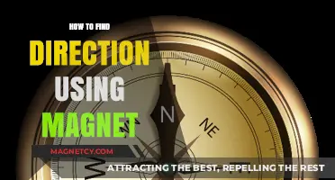 Navigate Nature: Mastering Direction Finding with a Simple Magnet