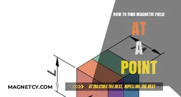 Exploring Magnetism: How to Calculate the Magnetic Field at Any Point