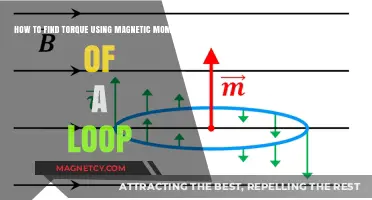 Finding Torque via Magnetic Moment of a Loop: A Guide