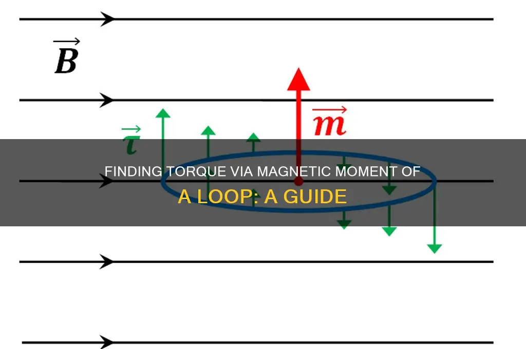 how to find torque using magnetic moment of a loop