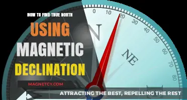 Navigate Accurately: Master Finding True North with Magnetic Declination
